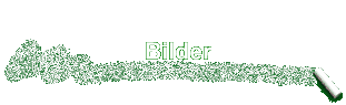 Bilder