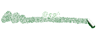 Gast