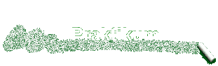 Praktikum